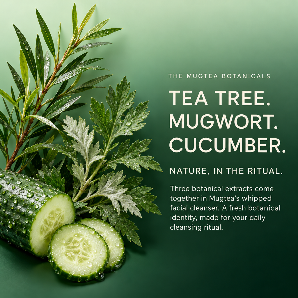 The three natural botnicals of the mugtea; tea tree, mugwort and cucumber